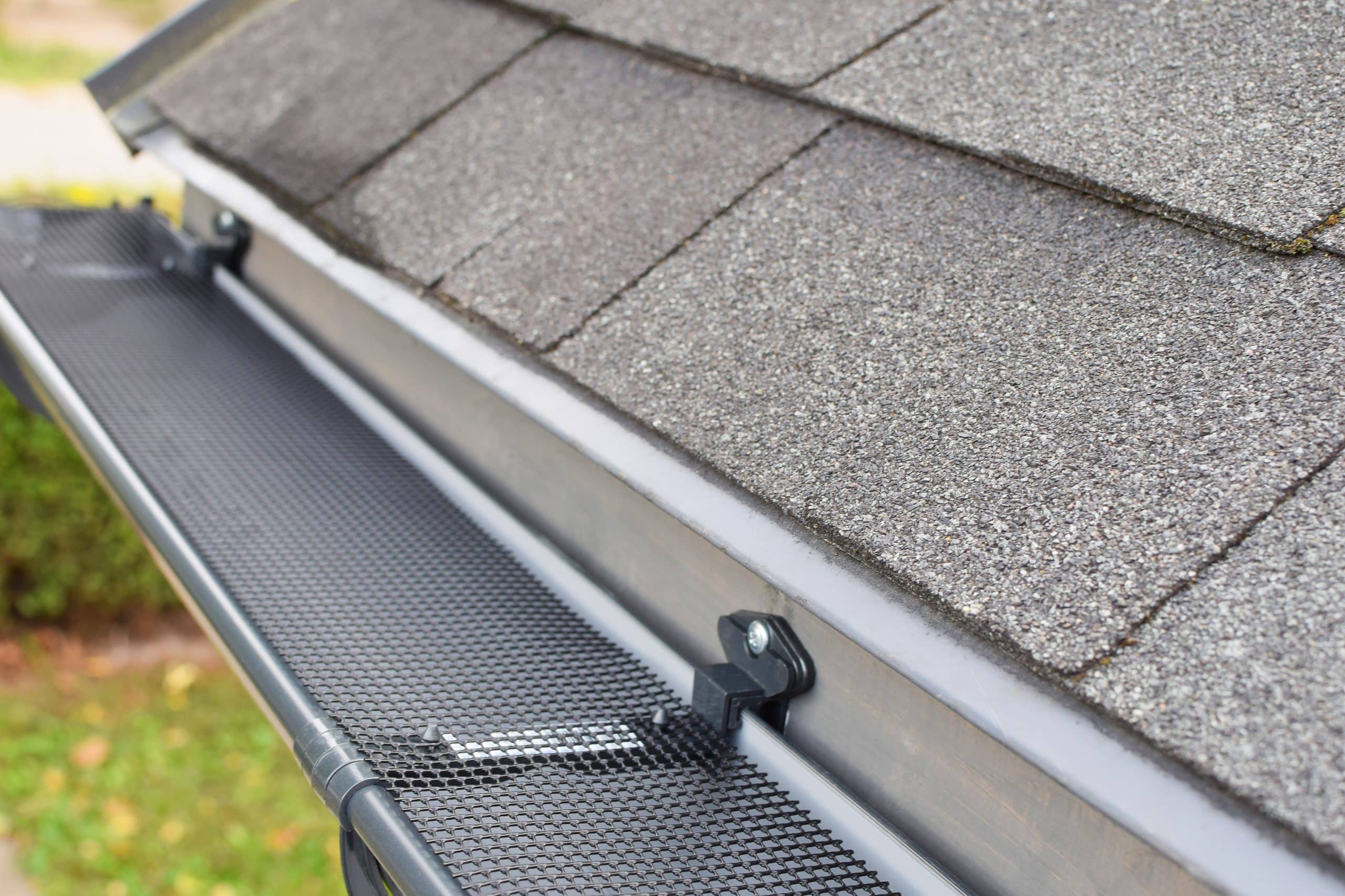 Mesh gutter guard installed along a shingle roofline