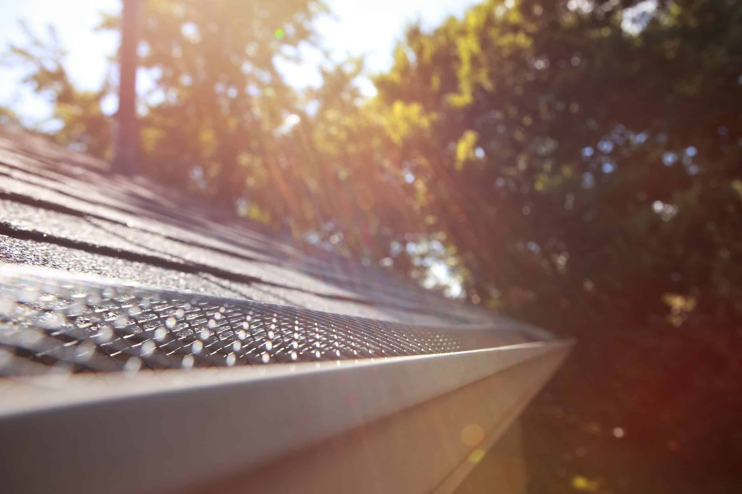 Mesh-guarded seamless gutter catching the afternoon sun on a Northern Nevada roof