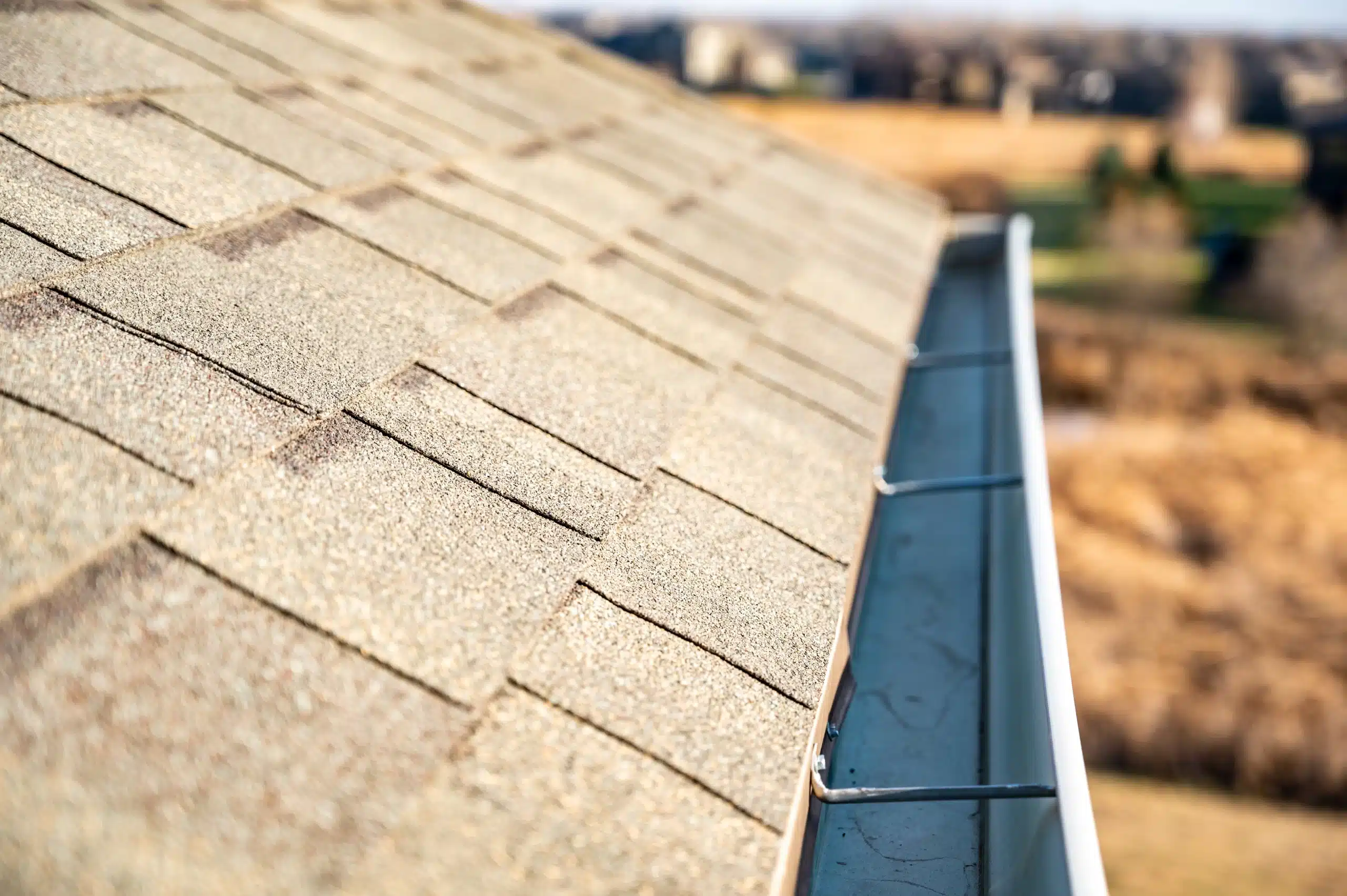 Dark seamless gutter running along an asphalt-shingle roof